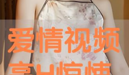 免费高h视频,免费高H视频背后的秘密世界